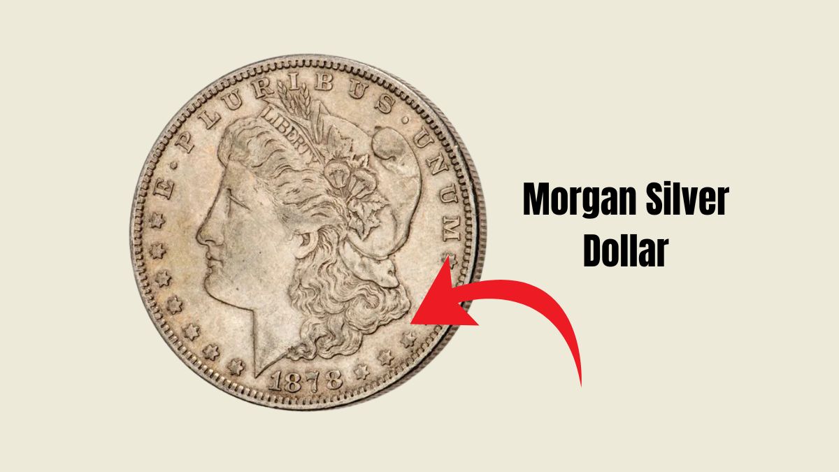 From 1878 to 1921: The Complete Morgan Silver Dollar Value Chart You Need